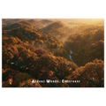 Ardent Woods — Eldervast Regional Art | 1,000 Piece Jigsaw Puzzle in Collector's Tin